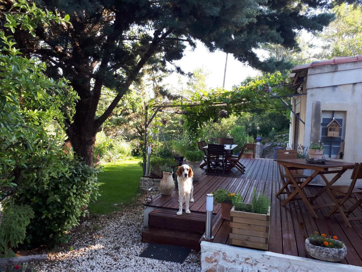 Bed and Breakfast Chez Patricia & Denis Flassans-sur-Issole Exterior foto